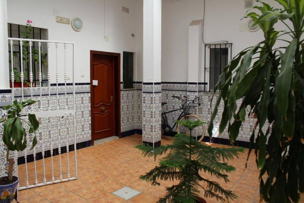 Casa de los Viajeros Pasquín Cádiz Exterior foto